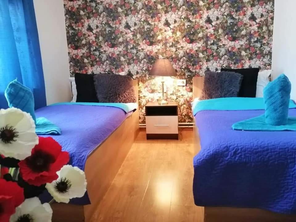 فندق Casa Regala Ear كرايوفا المظهر الخارجي الصورة