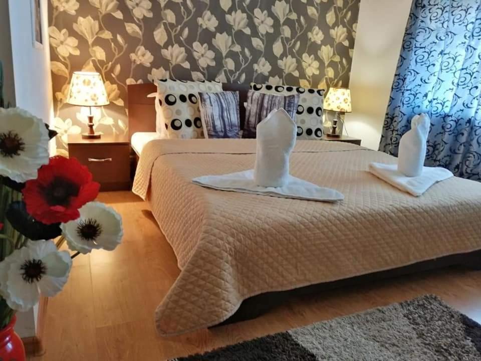 فندق Casa Regala Ear كرايوفا المظهر الخارجي الصورة